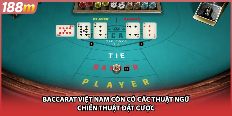 Baccarat Việt Nam còn có các thuật ngữ chiến thuật đặt cược