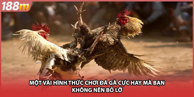 Một vài hình thức chơi đá kê cực hay mà bạn không nên bỏ lỡ