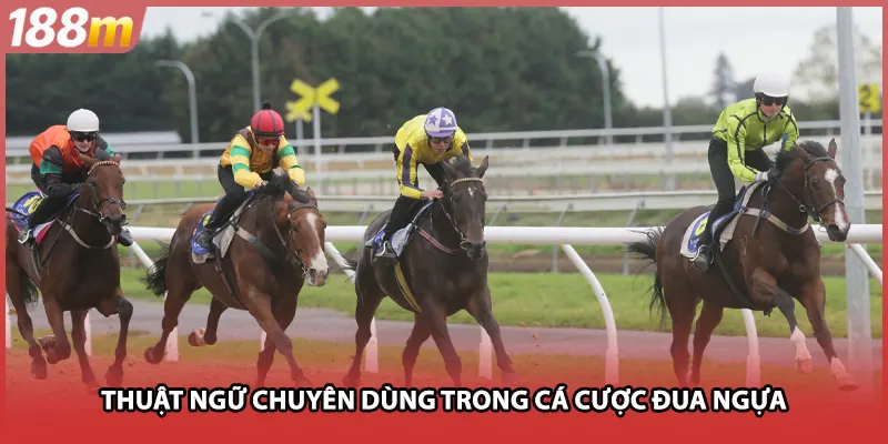 Thuật ngữ chuyên dùng trong cá cược đua ngựa