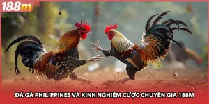 Đá Gà Philippines Và Kinh Nghiệm Cược Của Chuyên Gia 188M